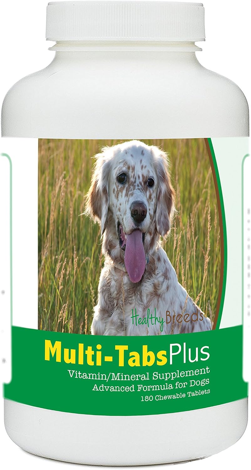 Healthy Breeds English Setter Multi-Tabs Plus Comprimidos masticables 180 unidades