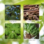 Nature's Sunshine Pro-Pancreas, 100 Cápsulas - Fórmula Herbal para la Digestión