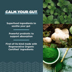 Ancient Nutrition Suplemento de Salud Intestinal, Certificado Orgánico Regenerativo, Cápsulas para el Soporte Intestinal, Formulado con Melena de León, Raíz de Regaliz Fermentada y Hierbabuena, Sin Gluten, Paleo y Keto, 90 Cápsulas