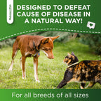 Forte Health Suplemento Herbal para Perros y Gatos - Sabor a Pollo - 60 ml