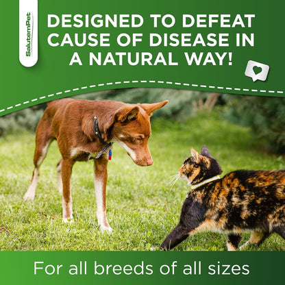 Forte Health Suplemento Herbal para Perros y – Arándano (Vaccinium macrocarpon) – Image 7
