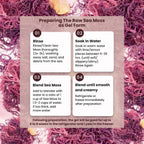 Herb To Body Purple Sea Moss – 4oz (113g) Alga Púrpura Silvestre de Saint Lucia