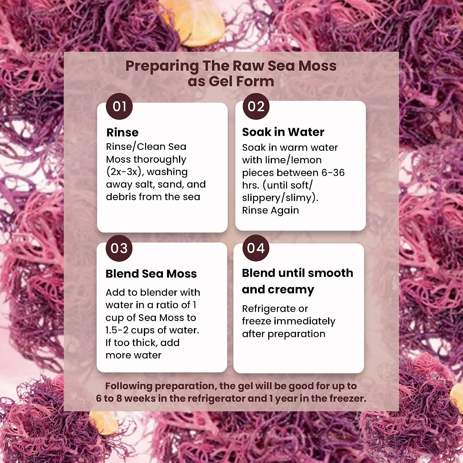 Herb To Body Purple Sea Moss – 4oz (113g) Alga Púrpura Silvestre de Saint Lucia