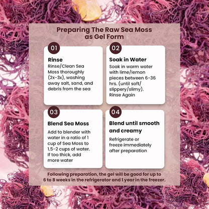 Herb To Body Purple Sea Moss – 4oz (113g) Alga Púrpura Silvestre de Saint Lucia – Image 2
