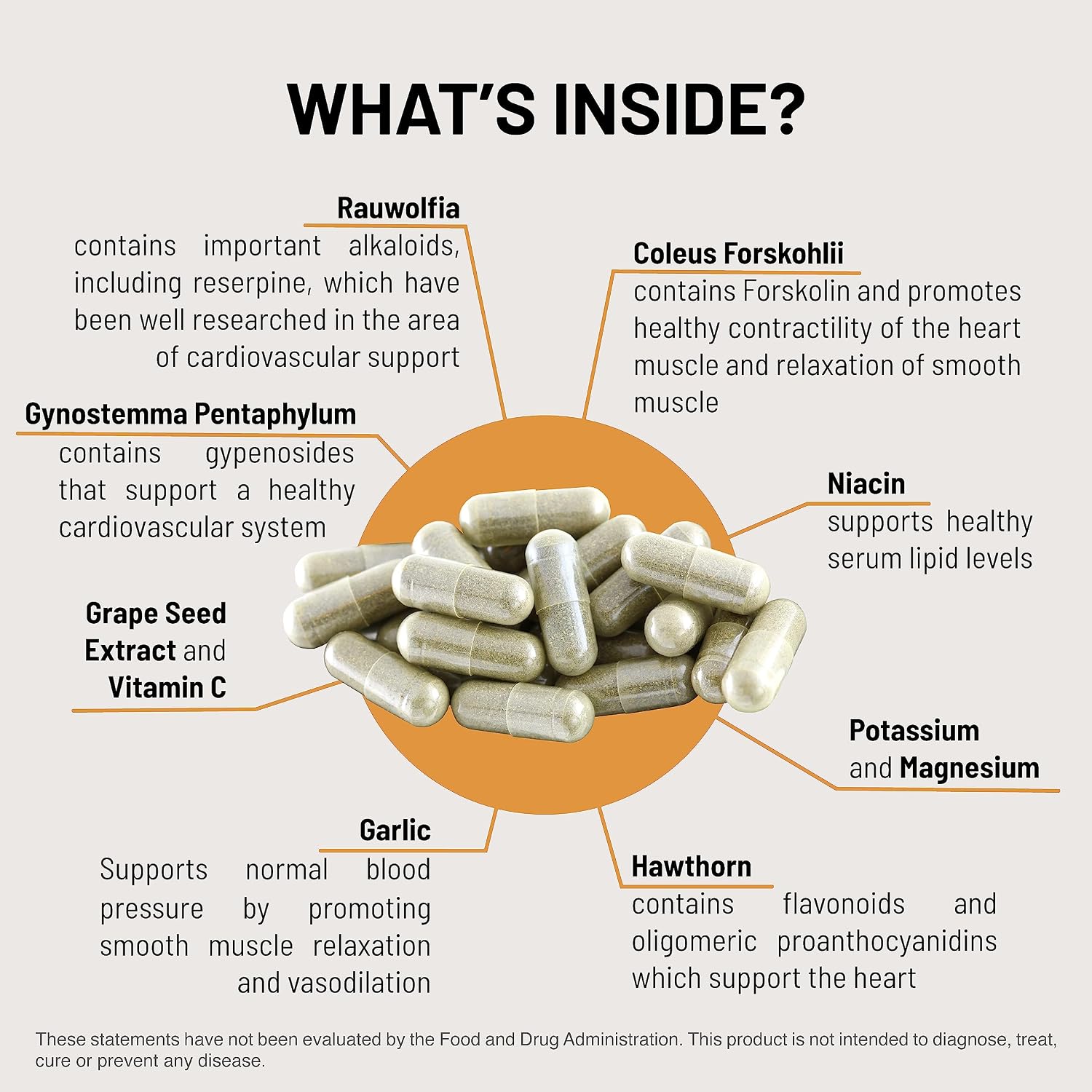Mountain Peak Nutritionals HTN Support - Suplemento para el corazón y la circulación - Con Rauwolfia, Espino blanco y Magnesio (180 cápsulas vegetarianas)