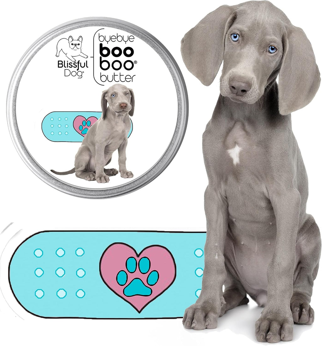 The Blissful Dog 2 oz Lata Bálsamo Booboo Butter para Perros Weimaraner