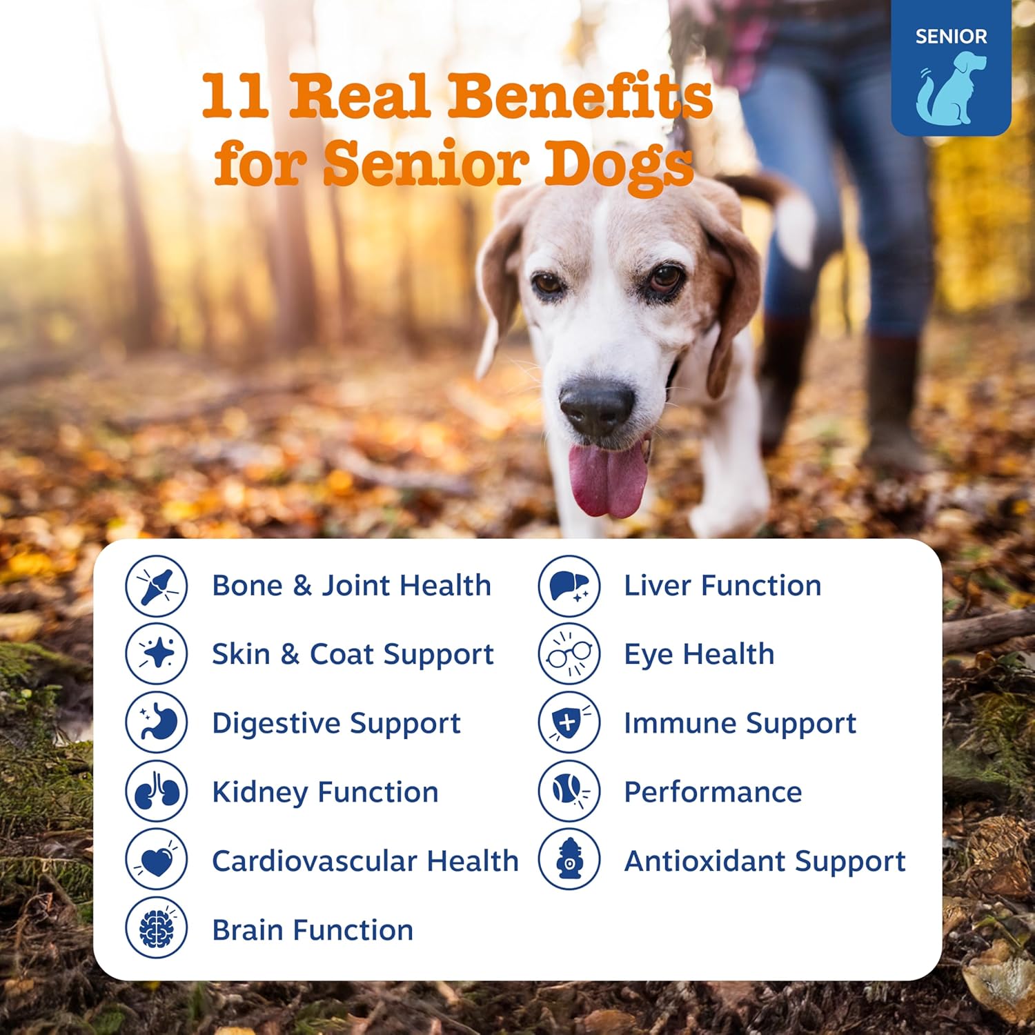 Zesty Paws Senior Dog Multivitamin Treats - Glucosamina + Probióticos - Sin Cereales - Sabor Pollo - Advanced - 60 uds