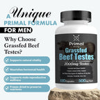 Primal Being Cápsulas de Testículos de Res Alimentados con Pasto – Suplemento de Órganos para Hombres, Nueva Zelanda, 120 Cápsulas