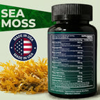 Sea Moss Black Seed Oil Ashwagandha Ginger - Cápsulas Avanzadas de Irish Sea Moss, Suplemento Todo en Uno con Seamoss, Black Seed Oil, Ashwagandha, Burdock Root, Bladderwrack
