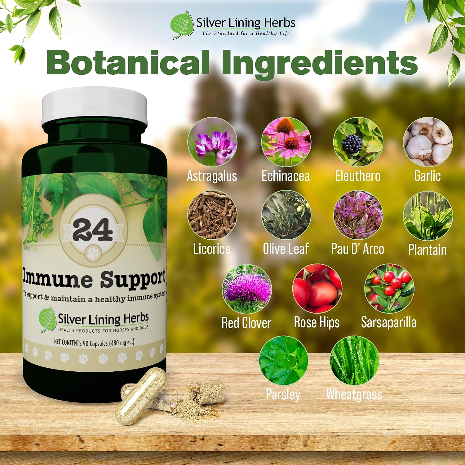Silver Lining Herbs – Suplemento Inmunológico para Perros (90 Cápsulas)