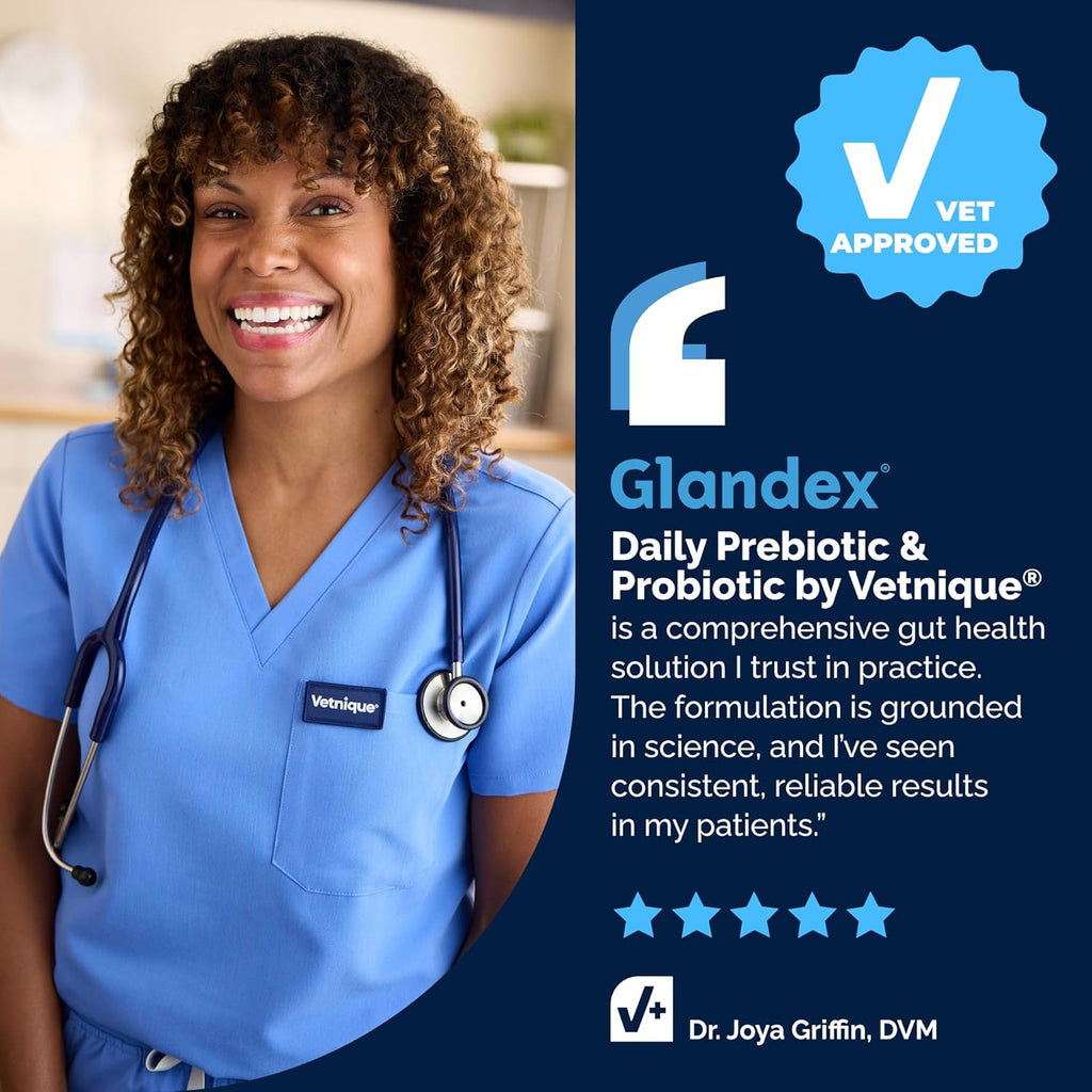 Vetnique Glandex Probióticos Masticables para Perros con 5 Cepas, Prebióticos y Enzimas Digestivas - 120 masticables
