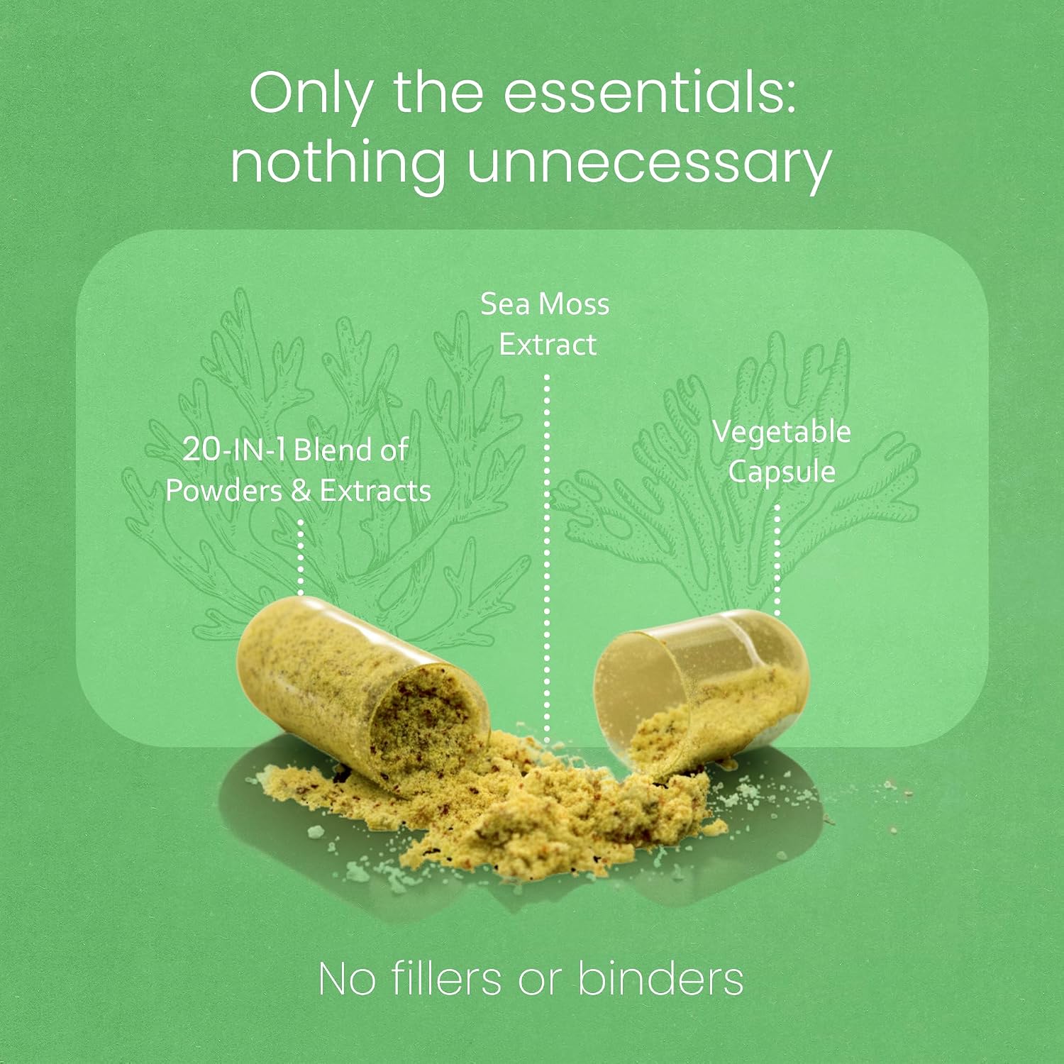 Sea Moss, Aceite de Semilla Negra, Bladderwrack, Cúrcuma, Ashwagandha, Bardana, Vitamina C, D3, Raíz de Yellow Dock, Manuka, Diente de León - 90 Cápsulas Veganas