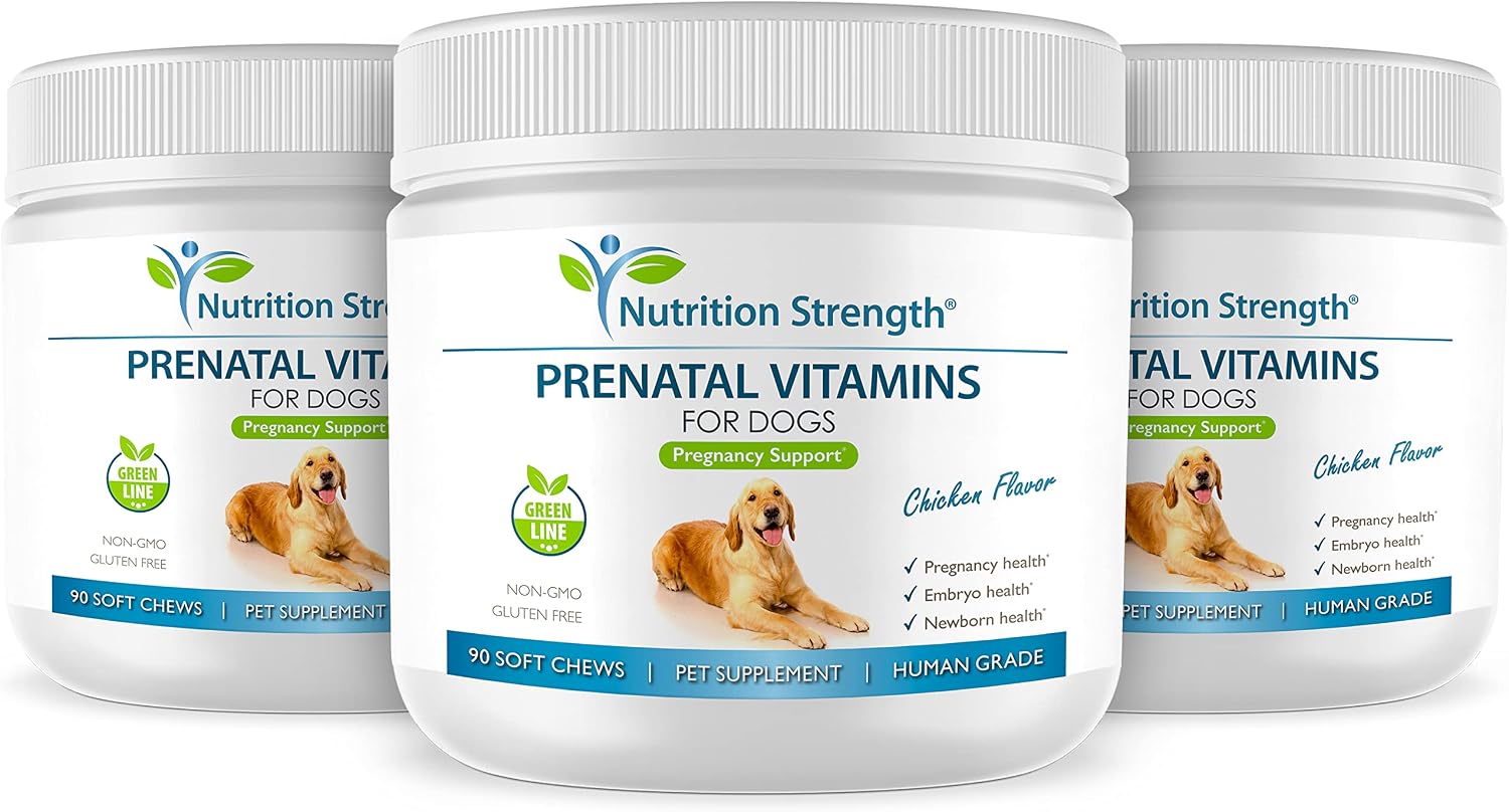 Nutrition Strength Vitaminas prenatales para perros | 90 masticables suaves
