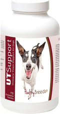 Healthy Breeds Masticables de Arándano para Perros - Apoyo Urinario - 75 unidades