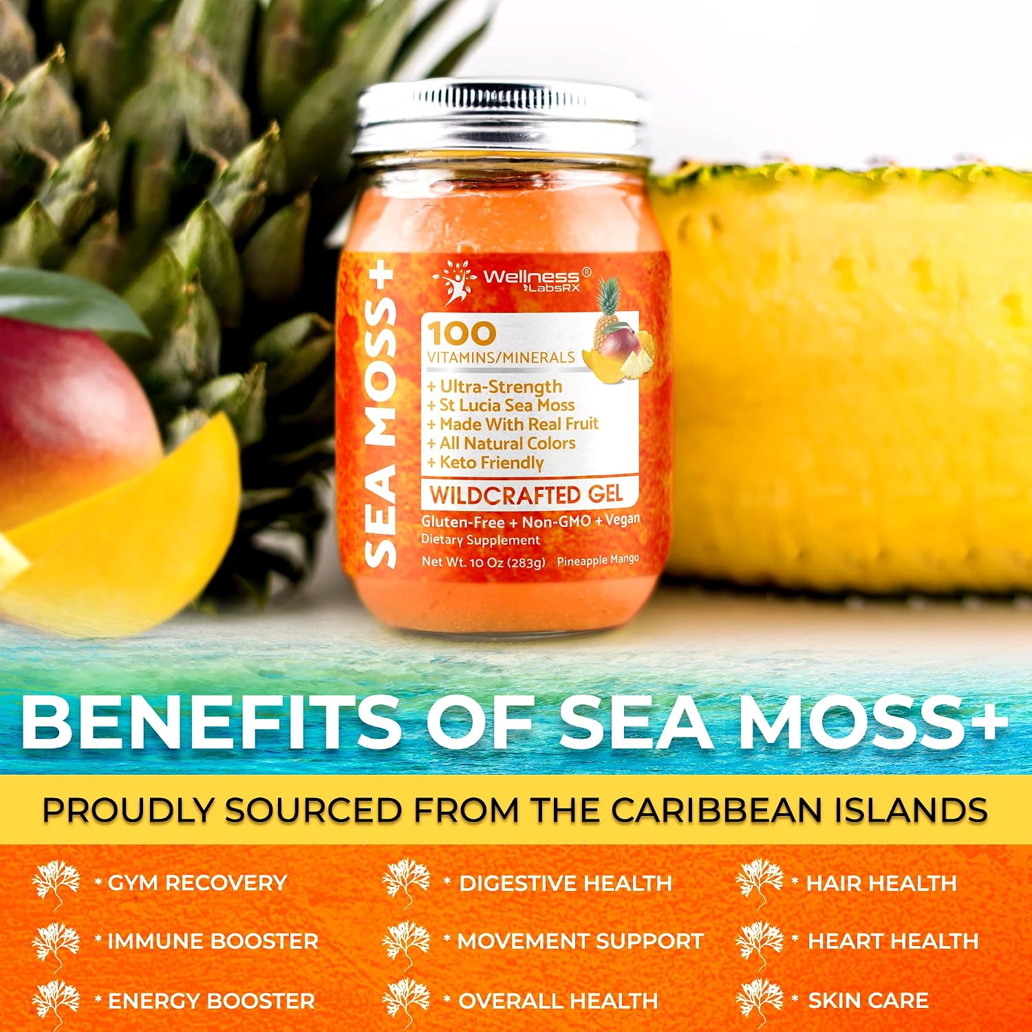 Irish Sea Moss Gel - Wildcrafted Seamoss Gel - Sabor Piña y Mango - 283 g
