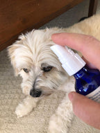 Memory All Natural Liquid Spray Supplement - Ayuda Cognitiva para Mascotas Mayores (1 oz)