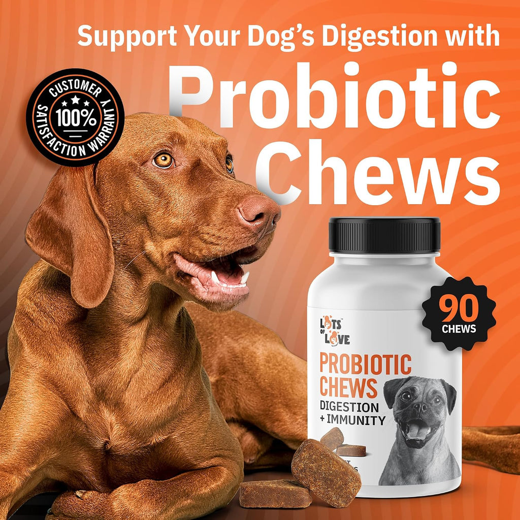 Probióticos para Perros en Masticables (90 unidades) – Salud Digestiva e Intestinal