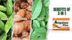 Pack de 4 Ampalaya Plus Suplemento 550mg - Total 120 Cápsulas - Natural y Vegano - Cápsulas Orgánicas de Melón Amargo - Suplemento Alimenticio Herbal Halal