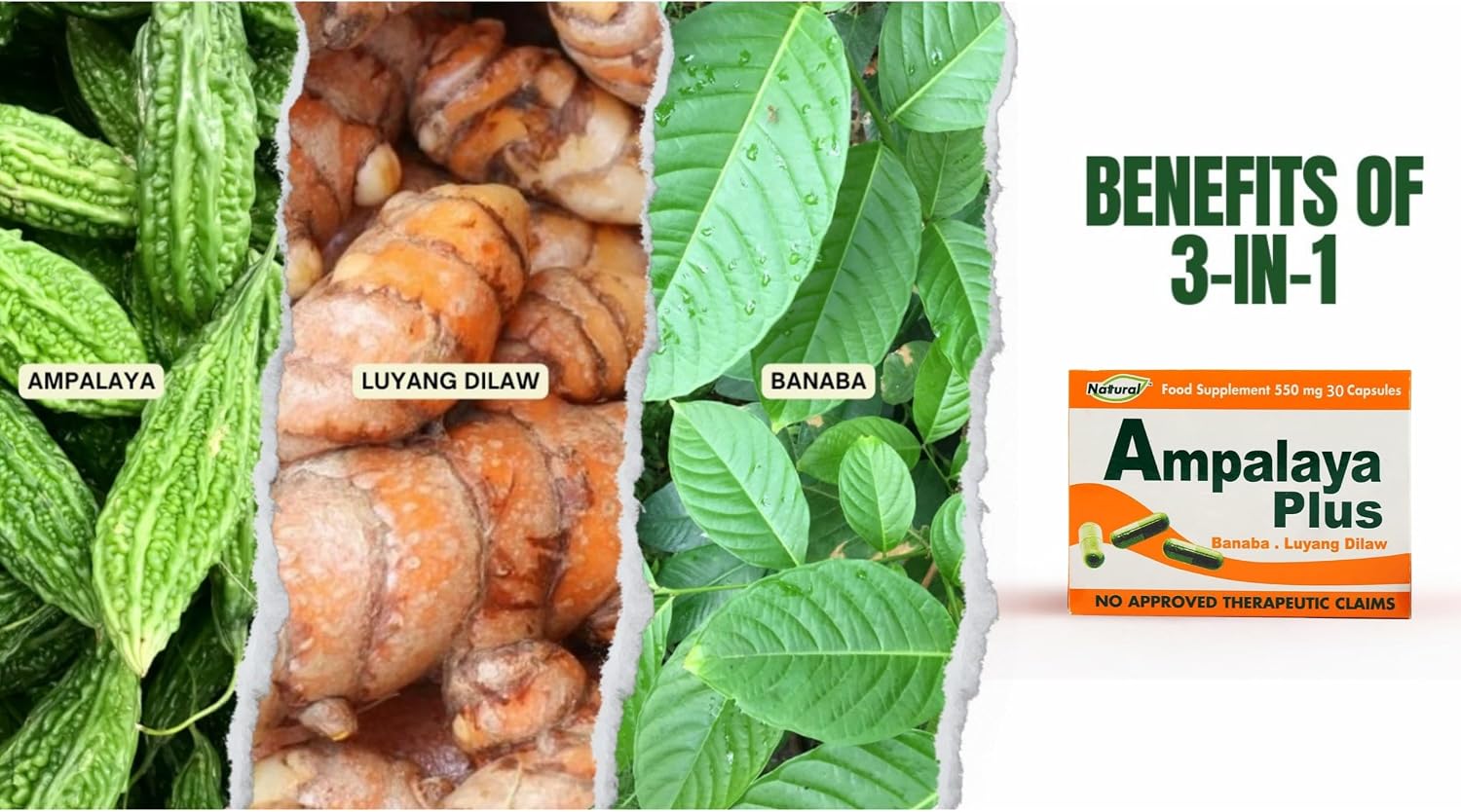 Pack de 4 Ampalaya Plus Suplemento 550mg - Total 120 Cápsulas - Natural y Vegano - Cápsulas Orgánicas de Melón Amargo - Suplemento Alimenticio Herbal Halal