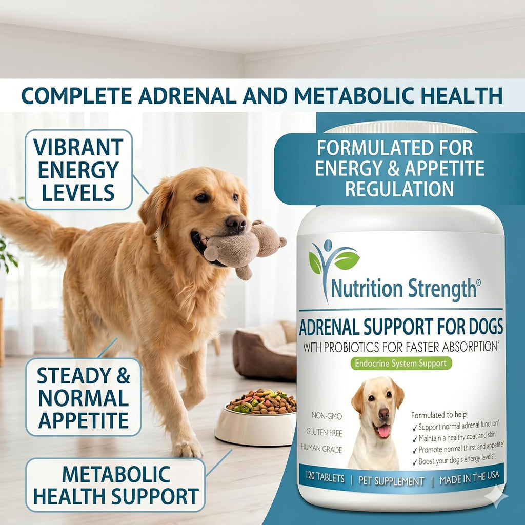 Nutrition Strength Adrenal Support for Dogs - Suplemento Adrenal para Perros, 120 Comprimidos Masticables