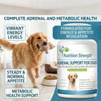 Nutrition Strength Adrenal Support for Dogs - Suplemento Adrenal para Perros, 120 Comprimidos Masticables