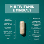 NatureWise Multivitamínico para Hombres + Apoyo Anti Estrés + Minerales Iónicos Fúlvicos + Probióticos - 60 Cápsulas (1 Mes)