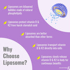 UpNourish Vitamina D3 y K2 Vegana, 5000 UI D3 + 500 mcg K2 (MK4 y MK7), 150 Cápsulas Blandas - Fórmula Liposomal con Aceite de Coco Orgánico