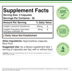 Suplemento de Glutatión Liposomal 500 mg por ración, 60 cápsulas - Vegano, No-GMO - Double Wood