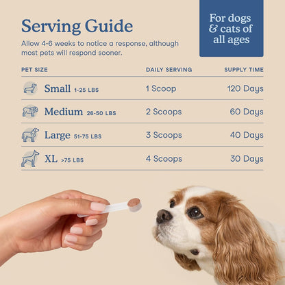 Fera Pets Postbióticos Plus Prebióticos para – Jengibre y Hinojo: Ingredientes botánicos tradicionalmente – Image 4