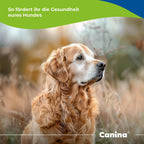 Canina V25 Vitamintabletten 200g