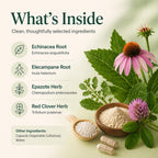 Bernard Jensen's Quick Airway Defense - 440 mg, 60 Cápsulas de Tapioca - Suplemento Herbal para el Apoyo Respiratorio