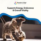 Breeder’s Edge Oxy Stud Multivitamínico para Perros y Gatos Pequeños (60 chews)