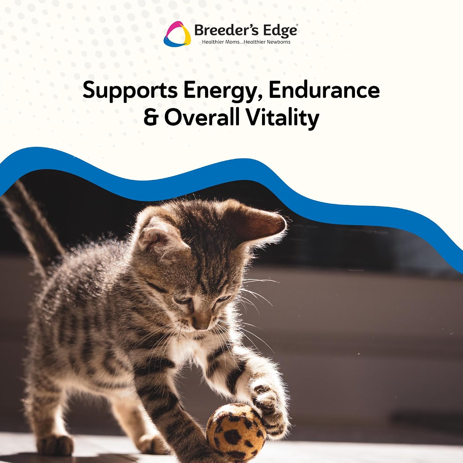 Breeder’s Edge Oxy Stud Multivitamínico para Perros y Gatos Pequeños (60 chews)