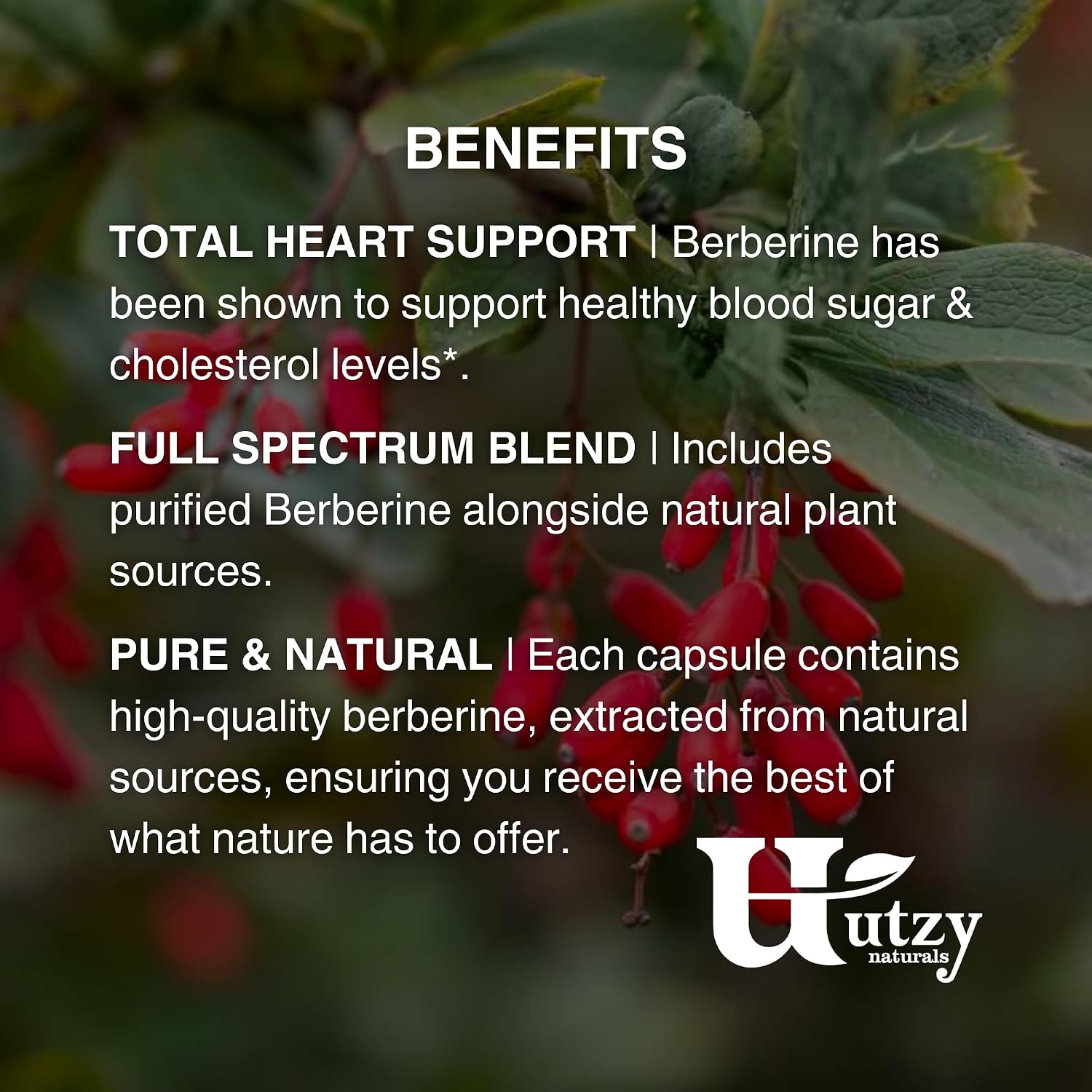 TriBerine Berberina 1000 mg Triple Fuente Espectro Completo | 60 Cápsulas Vegetales