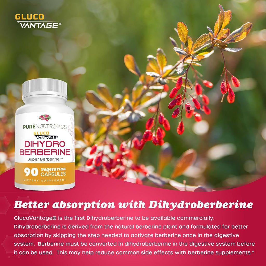 Pure Nootropics - Dihidroberberina (GlucoVantage) 100 mg, 90 Cápsulas | Super Berberine