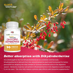 Pure Nootropics - Dihidroberberina (GlucoVantage) 100 mg, 90 Cápsulas | Super Berberine
