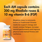 Multivitamínico AM PM - Suplemento Día y Noche con Rhodiola Rosea, L-Theanina y Ashwagandha