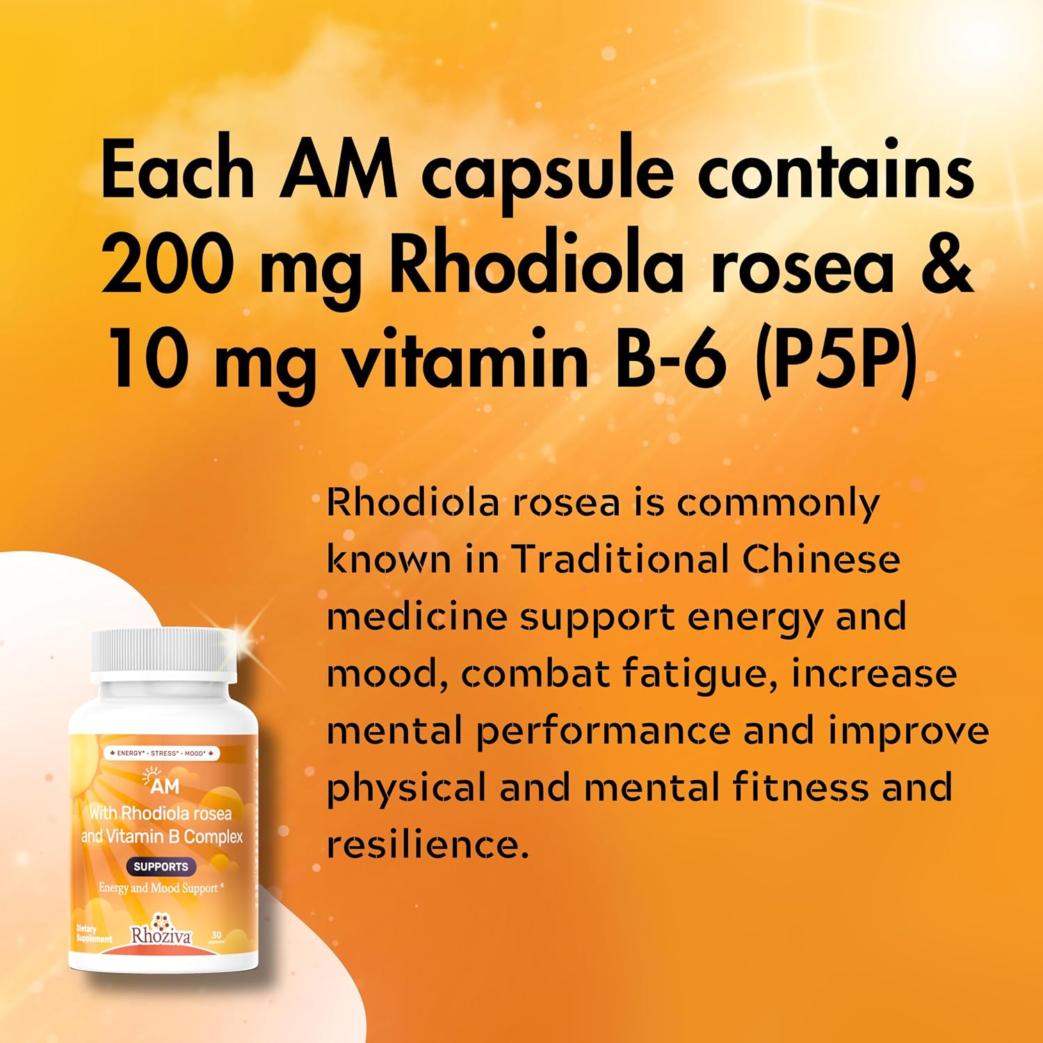 Multivitamínico AM PM - Suplemento Día y Noche con Rhodiola Rosea, L-Theanina y Ashwagandha