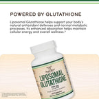 Suplemento de Glutatión Liposomal 500 mg por ración, 60 cápsulas - Vegano, No-GMO - Double Wood
