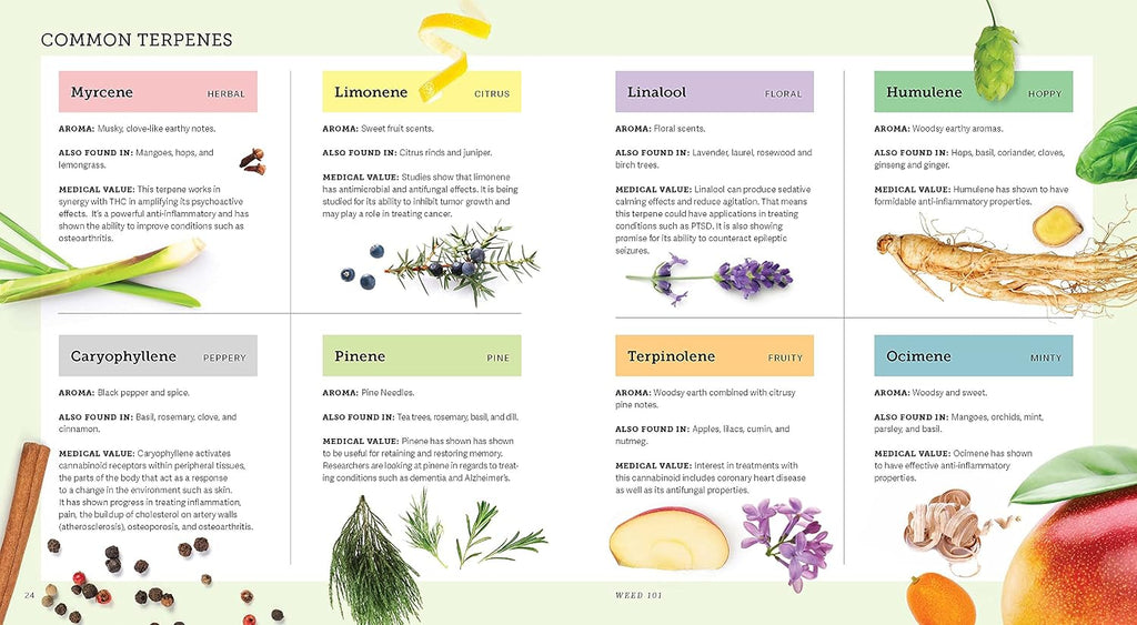 Weed: A Connoisseur's Guide to Cannabis