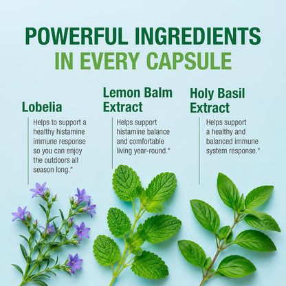 Bell Histamine Balance - Suplemento Natural – Albahaca santa (Ocimum sanctum): También llamada tulsi, es valorada – Image 4