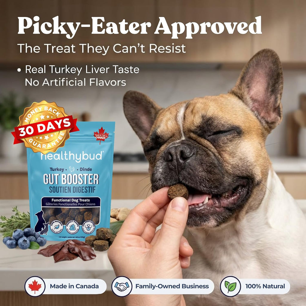 Healthybud Masticables Probióticos para Perros – Salud Digestiva e Intestinal – Con Prebióticos, Fibra, Calabaza y Boniato – Alivio para Estómagos Sensibles (130g)