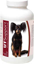 Healthy Breeds Cranberry Chewables para Perros - Apoyo al Tracto Urinario - 75 Masticables