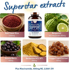 WINDSOR BOTANICALS Suplemento de Colesterol con Bergamota, Niacina, Levadura de Arroz Rojo, Berberina y Aronia - 90 Cápsulas Veganas