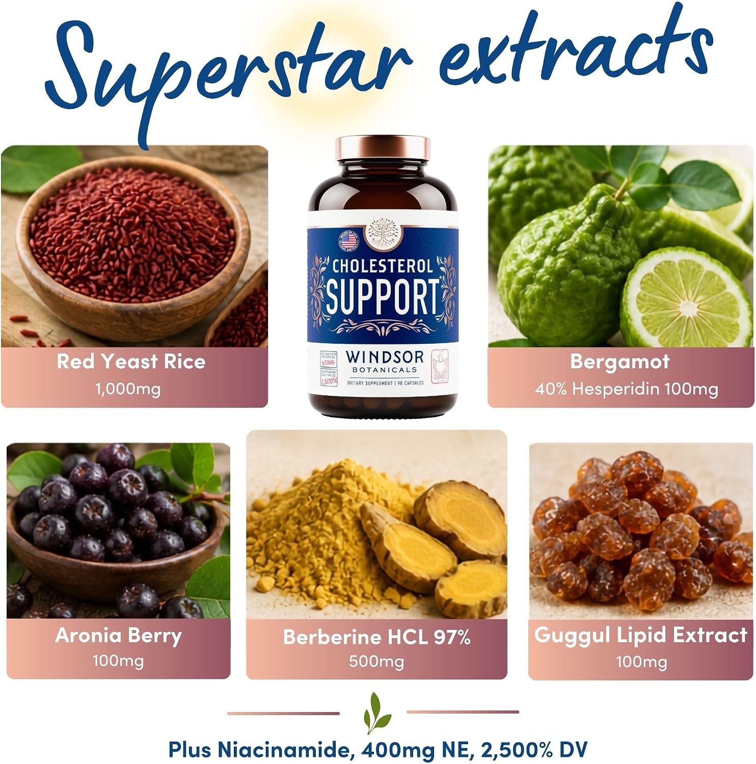 WINDSOR BOTANICALS Suplemento de Colesterol con Bergamota, Niacina, Levadura de Arroz Rojo, Berberina y Aronia - 90 Cápsulas Veganas