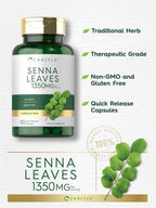 Carlyle Senna Leaves Supplement | 1350mg | 110 Capsules | Herbal Extract Formula | Non-GMO & Gluten Free