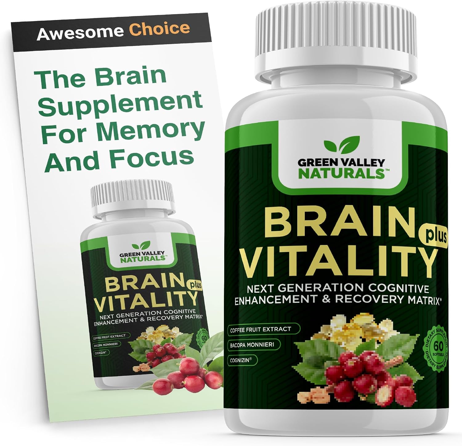 GREEN VALLEY NATURALS Brain Vitality Plus™ – Apoyo Cognitivo para Memoria, Concentración y Claridad Mental con Cognizin® Citicolina, Bacopa Monnieri y DHA Omega-3 | 60 Cápsulas Blandas