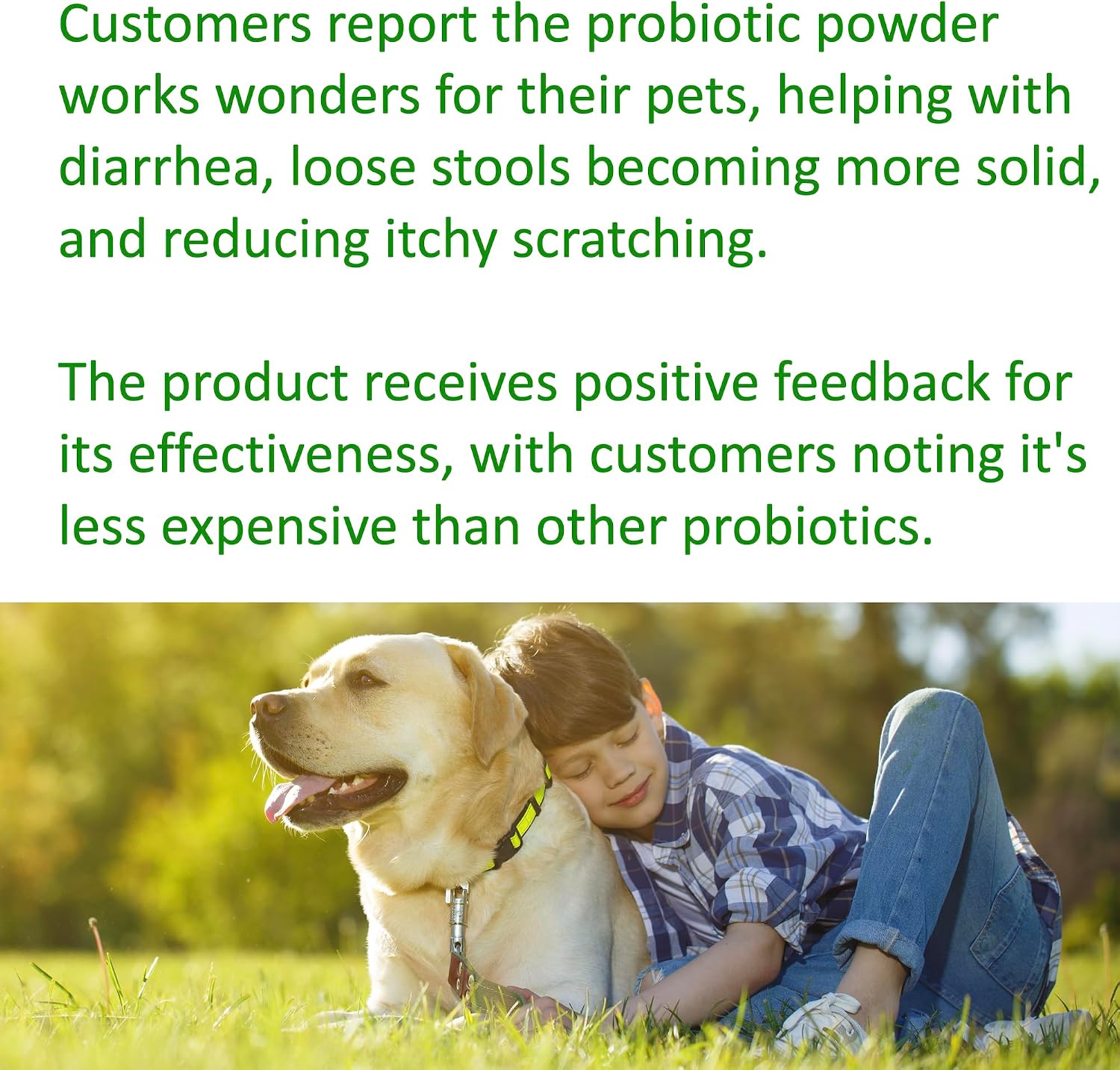 TummyWorks Probióticos para Perros y Gatos - 160 Dosis en Polvo con 10 Cepas, 5 mil millones de UFC, Enzimas y Prebióticos