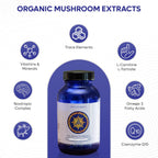 Ascension Brain Health Supplement (100 Cápsulas)