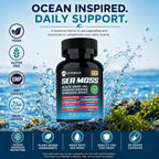 TM NATURALS - Sea Moss con Aceite de Nigella, Vitamina C, Ashwagandha y Cúrcuma, 60 Cápsulas Veganas + Pastillero Gratis